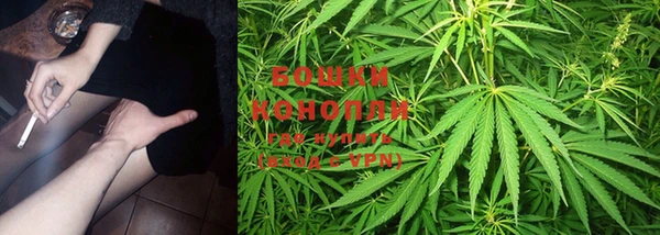 ECSTASY Абаза
