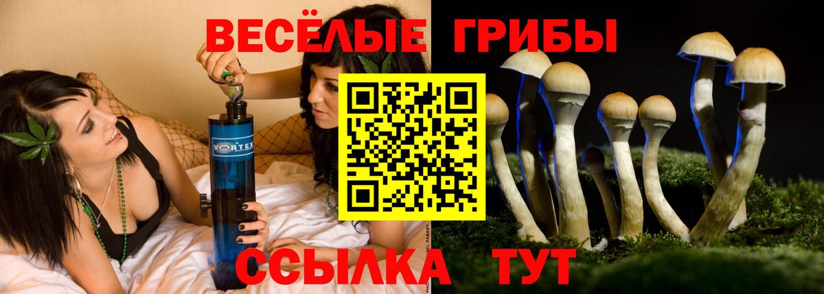 Псилоцибиновые грибы мухоморы Знаменск