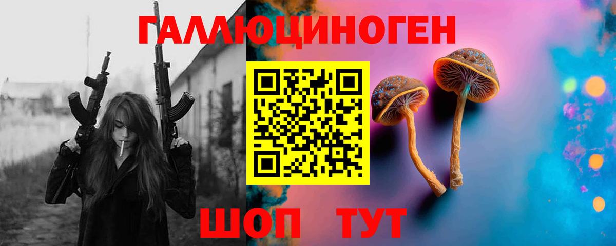 Галлюциногенные грибы Cubensis  Вход с VPN  Знаменск 