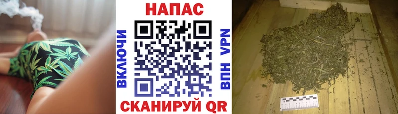 Шишки марихуана ГИДРОПОН  продажа наркотиков  Знаменск 